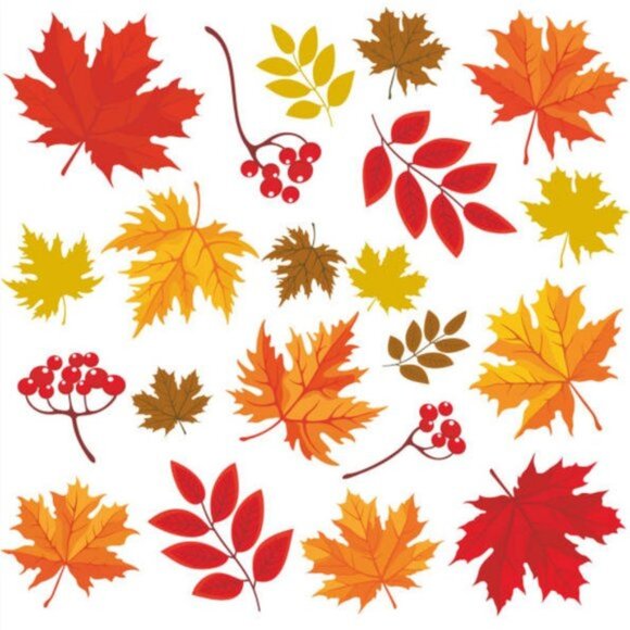 INTIMATES -------> - Picture 3 of 15